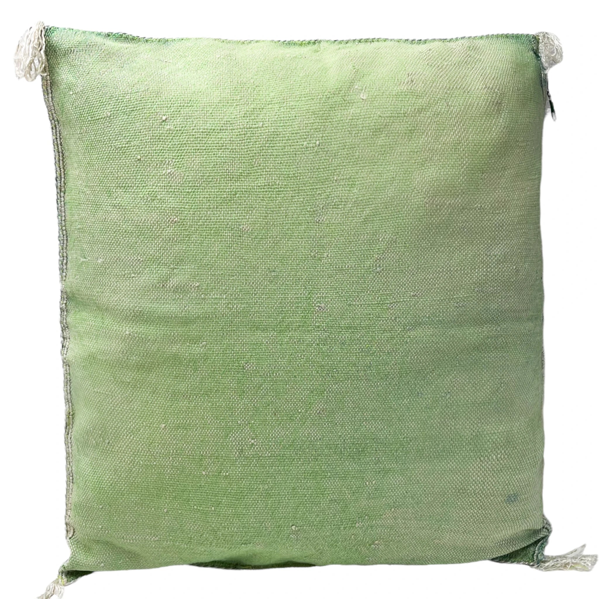 Coussin Sabra Soie de Cactus Vert Clair