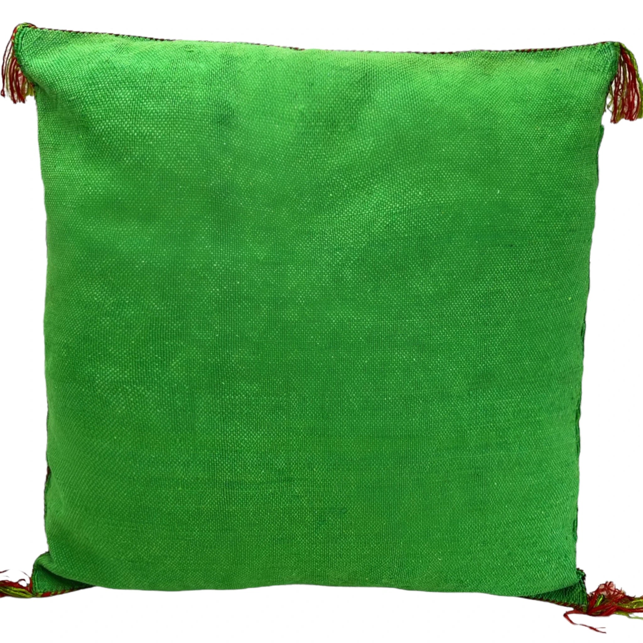 Coussin Sabra Soie de Cactus vert
