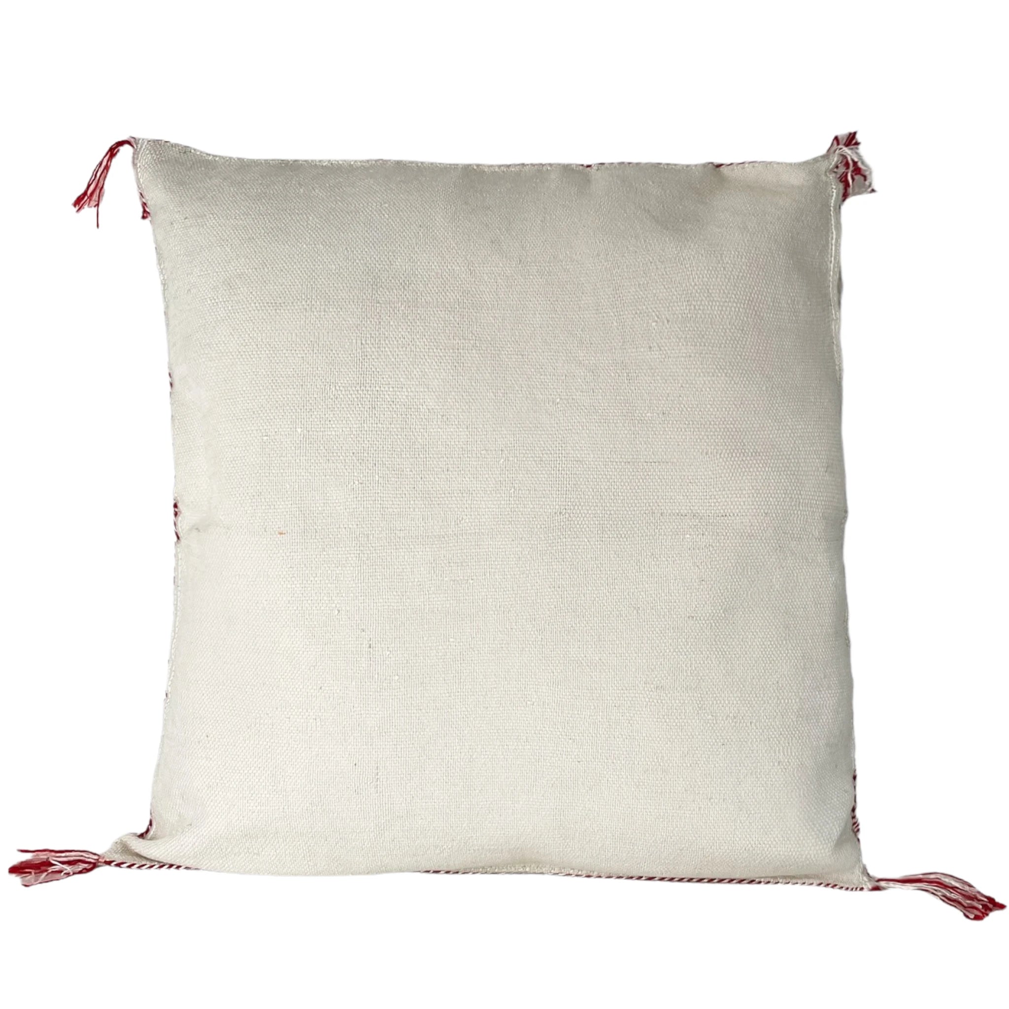 Coussin en soie de cactus Blanc