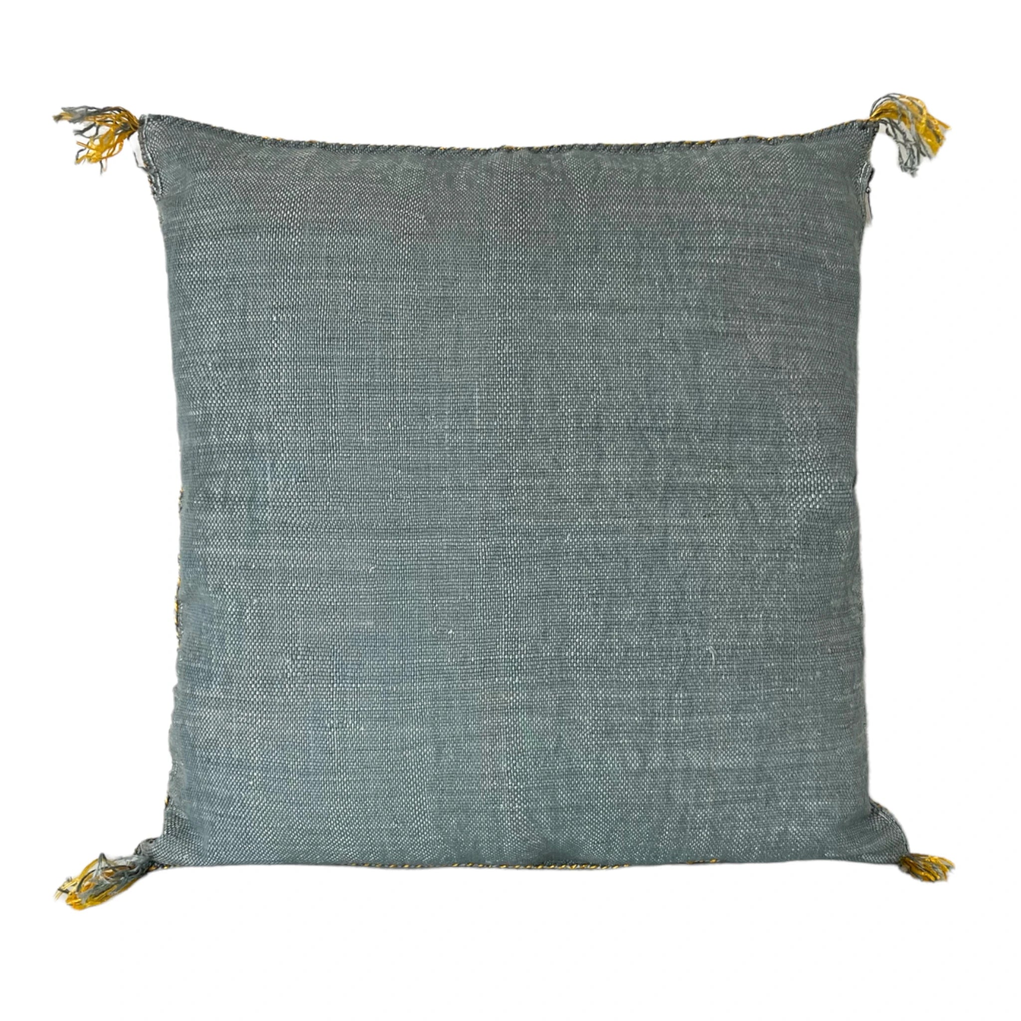 Coussin Sabra Soie de Cactus Gris/BLEU